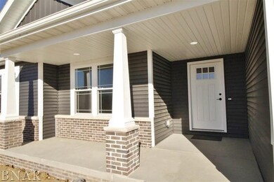 unlisted-address, Downs, IL 61736 - photo 2