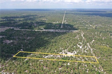 xx Frangipani Ave, Naples, FL 34117 - photo 5