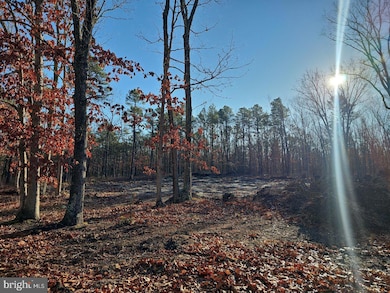 1930 Mccall Ave, Mays Landing, NJ 08330 - photo 6