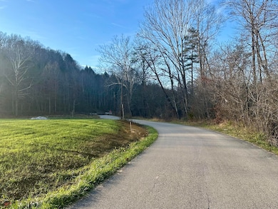 Lot 7 Hensley Rd, East Bernstadt, KY 40729 - photo 3