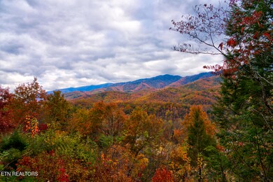 429 Deer Path Ln unit 103, Gatlinburg, TN 37738 - photo 3