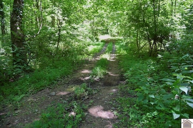 2680 Long Branch Rd unit (Crittenden Co. KY 5, Sturgis, KY 42459 - photo 5