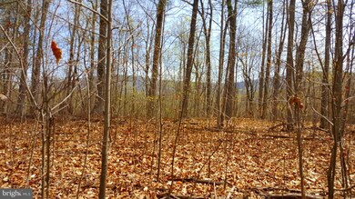 0 Rainbow Way unit 1001928622, Front Royal, VA 22630 - photo 6