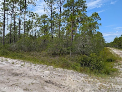 L-566&567 Holiday, Southport, NC 28461 - photo 2