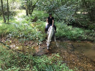 ahhh... trail riding on your own farm