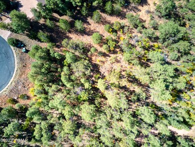 paxmanphotography-0157