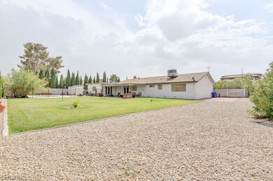 Huge Backyard