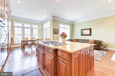 6866 Frase Dr, Falls Church, VA 22043 - photo 6