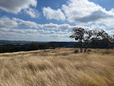 Tract 5 Rare Eagle Dr unit 5, Fredericksburg, TX 78624 - photo 3