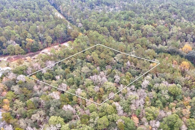 5040 Antioch Rd, Crestview, FL 32536 - photo 6