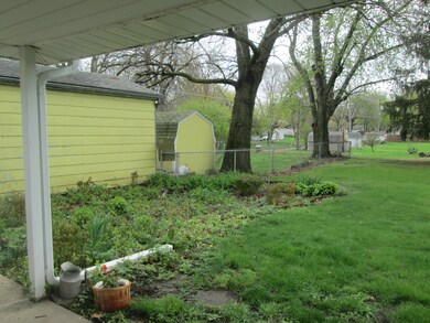 Backyard - View 3
