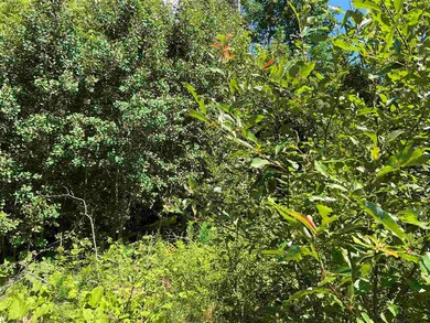 113 Speedwell Dr unit 5, Lyndonville, VT 05851 - photo 4