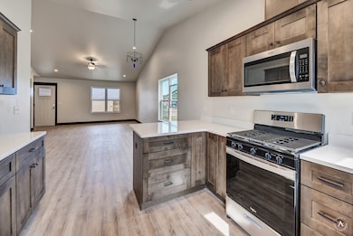 Kitchen featuring appliances with stainless steel finishes, vaulted ceiling, light wood-style flooring, open floor plan, and decorative light fixtures