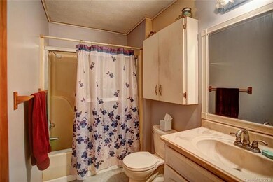 1013 Bear Creek Rd, Leicester, NC 28748 - photo 4