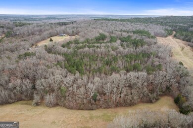 34.61 ACRES Walker Rd, Meansville, GA 30256 - photo 7