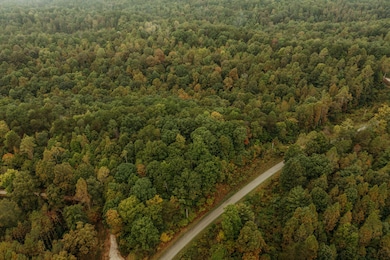 DJI_0146