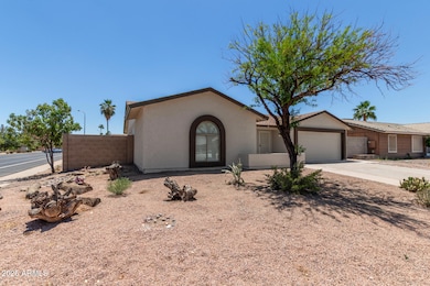 05 - Mesquite 701