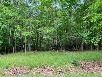 10 Castaway Ln, Coldspring, TX 77331 - photo 2