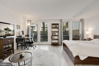 725 Delaware Ave SW unit 218, Washington, DC 20024 - photo 2