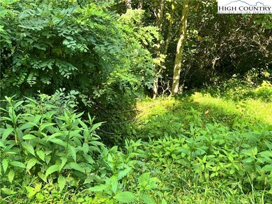 Driveway cut into lot