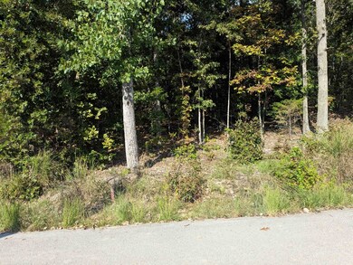 L20,21,22 B6 Lakota Trace, Cherokee Village, AR 72529 - photo 5