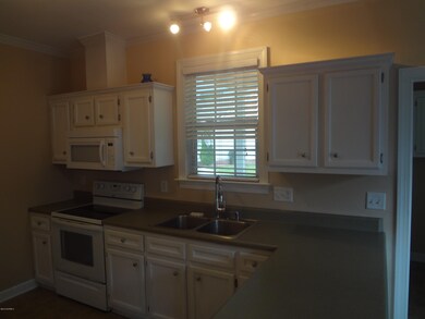 2501 Anton Ct, Winterville, NC 28590 - photo 7