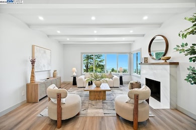 411 Vassar Ave, Berkeley, CA 94708 - photo 5