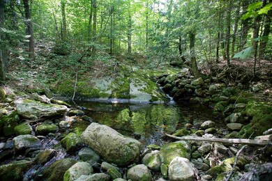 269 Schmidt Rd, Andover, VT 05143 - photo 4