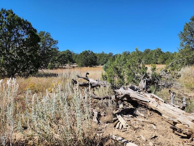 Davids Rock Rd, Pinehill, NM 87357 - photo 2