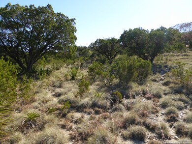 27010 Shady Run, Fair Oaks, TX 78006 - photo 6