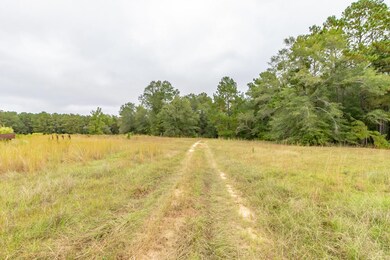 MT. PLEASANT RD LAND MLS-4224