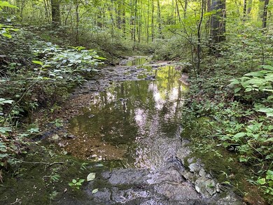 Lot 1 Ramsey Ln, Cookeville, TN 38501 - photo 7