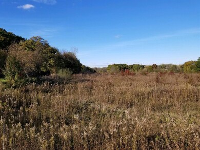 11700 W 129th Ave, Cedar Lake, IN 46303 - photo 2