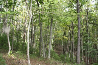 IMG_9149