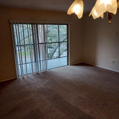 4411 Shady Terrace Ln unit 302, Tampa, FL 33613 - photo 4