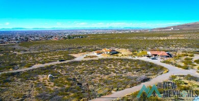 Lot 46 Thunder Rd, Alamogordo, NM 88310 - photo 3