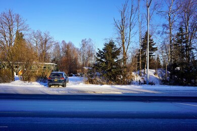 ORG_DSC00352