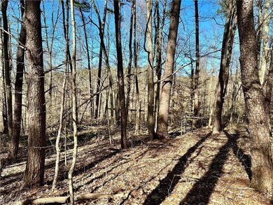 0 Fisher Ridge Rd, Barlow Township, OH 45729 - photo 6