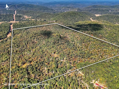 000 Cr D-325, Eminence, MO 65466 - photo 3