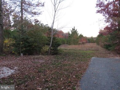 20019 W Piney Grove Rd, Georgetown, DE 19947 - photo 4