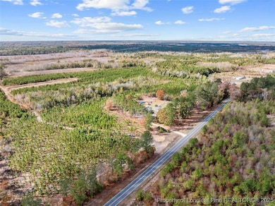 7399 Burney Rd, White Oak, NC 28399 - photo 3