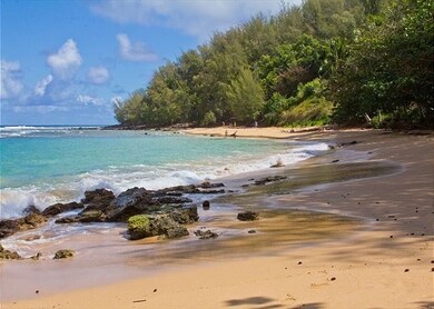 0 Moloaa Rd unit 663343, Anahola, HI 96703 - photo 4