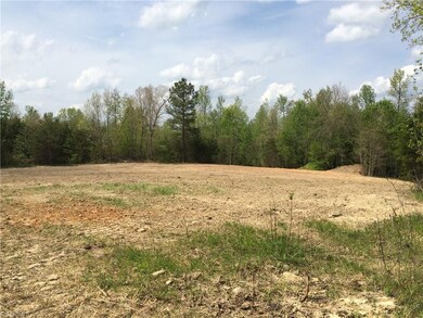 0 Holman Mill Rd unit 792585, 8, Newlin, NC 27349 - photo 4