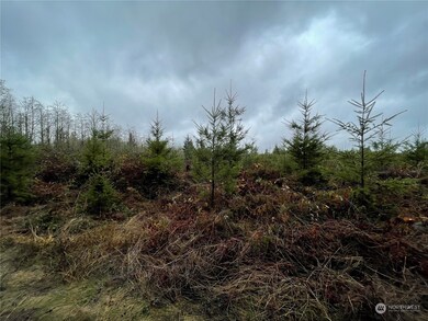 10 xx Oppelt Rd, Onalaska, WA 98570 - photo 4