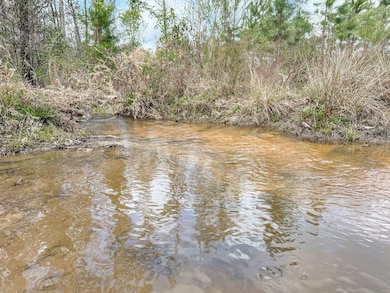 XX1 Worley Rd, Bonifay, FL 32425 - photo 3