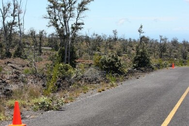 Lot 23, block 143 has Pahoehoe (smooth) lava with Ohia Trees, Native A'alii, and Ohia Berry plants.  This is the front view of the 122' x 356' one acre lot.
