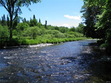 Fish Creek view downstream