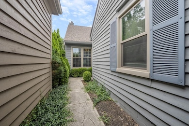 66-web-or-mls-DSC09519
