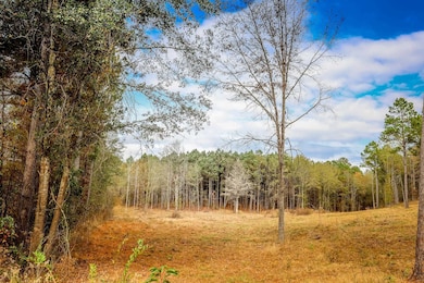 26 AC Cr 3103, Winona, TX 75792 - photo 2