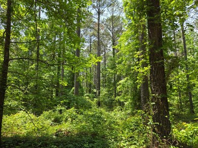 0 Booger Hollow Rd unit 23734488, Dadeville, AL 36853 - photo 6